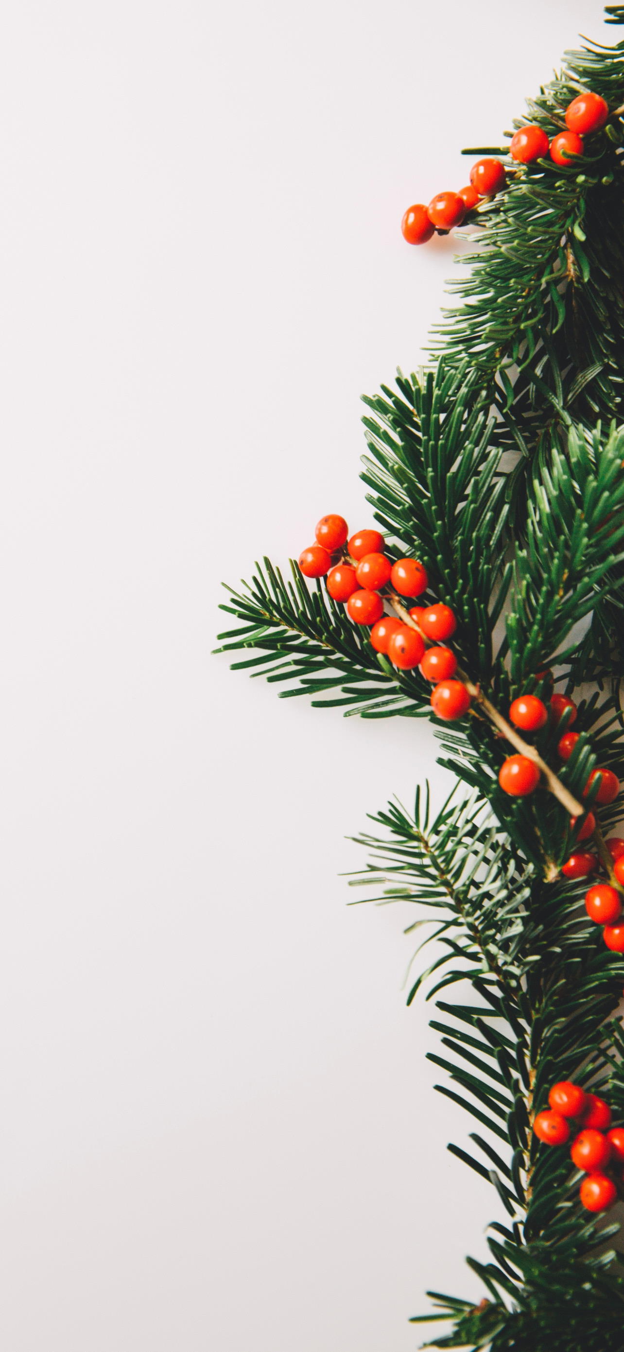 Natural Christmas & Holidays