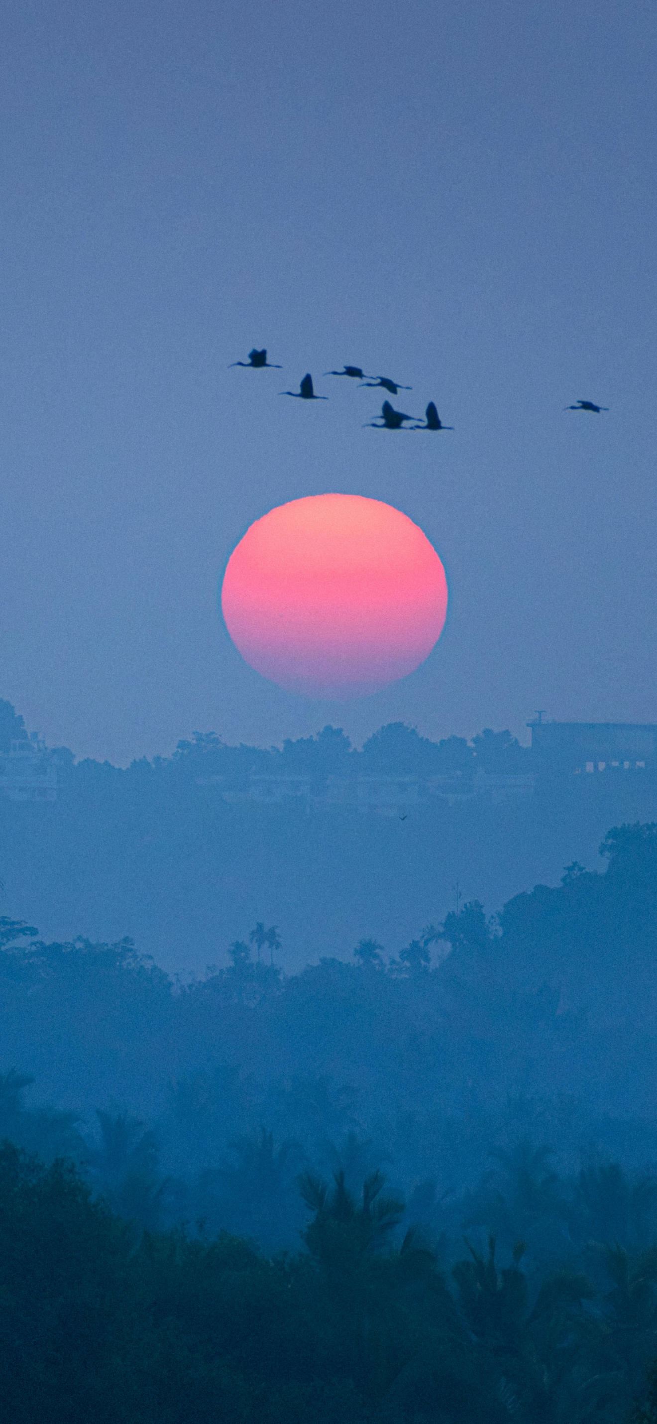 Sun Dawn Landscape iPhone Wallpaper